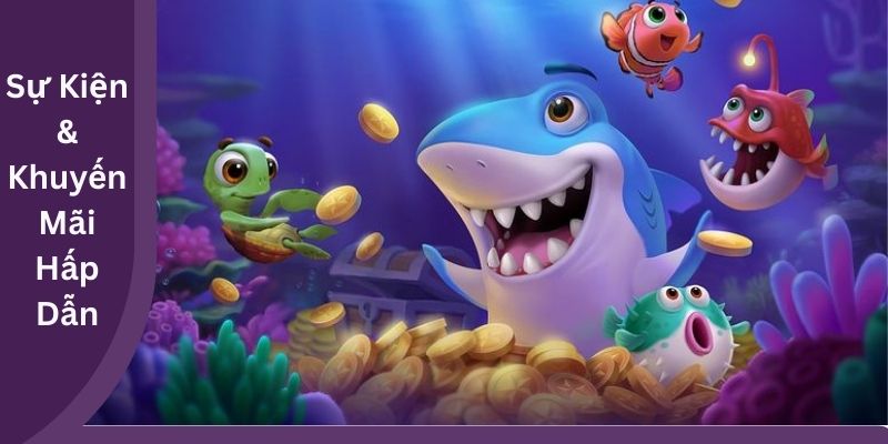 Sự Kiện & Khuyến Mãi Hấp Dẫn