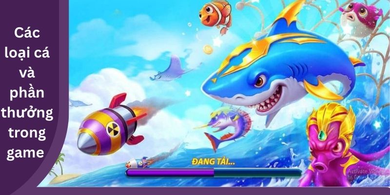Các loại cá và phần thưởng trong game