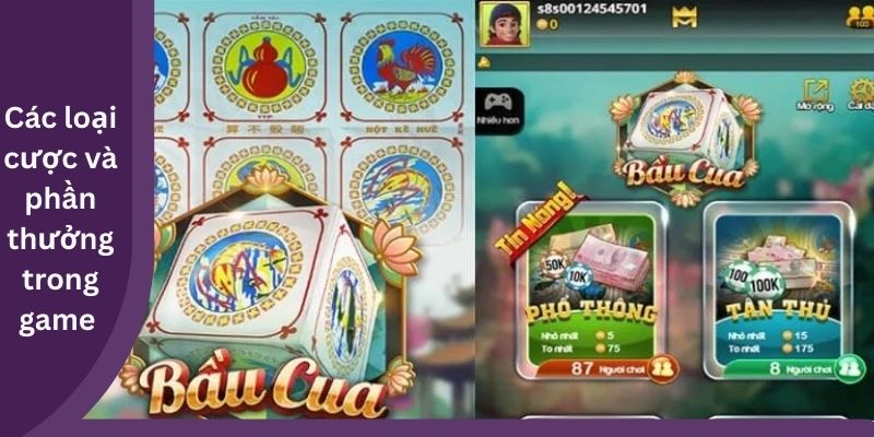 Các loại cược và phần thưởng trong game 