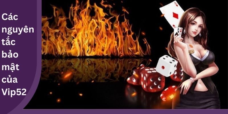 Các nguyên tắc bảo mật của Vip52
