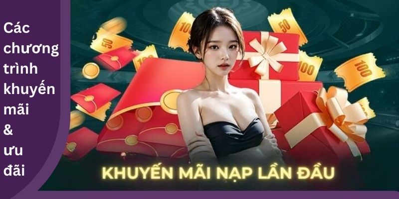 Các chương trình khuyến mãi & ưu đãi